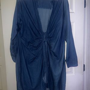 Fashion to Figure Jean Dress